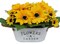 Spring Tabletop Decor – Artificial Sunflowers in Rustic Metal Pots, Faux Silk Flower Centerpiece for Farmhouse Home, Office & Table Decoration
